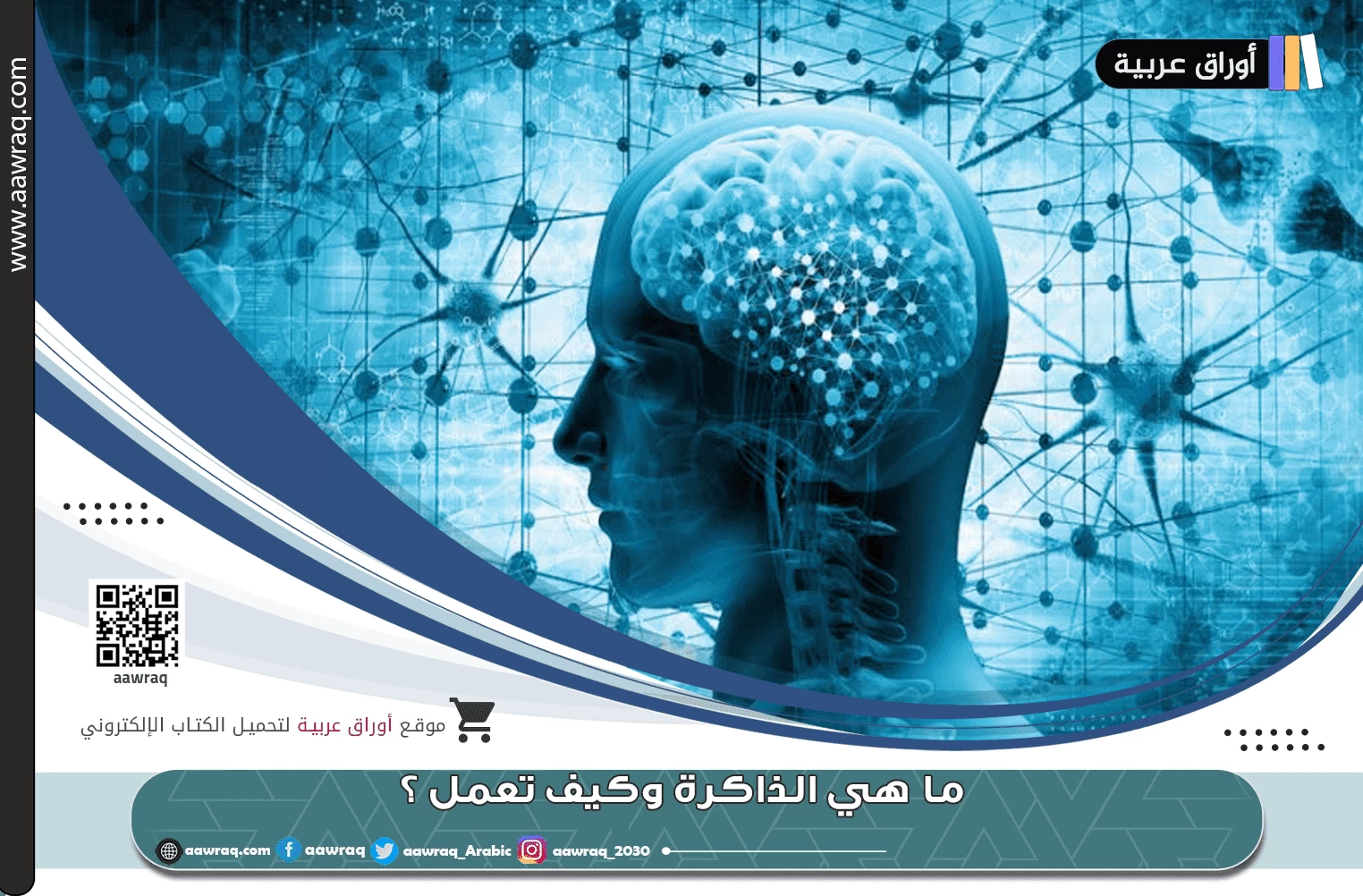 ما هي الذاكرة  وكيف تعمل ؟